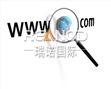 在瑞诺国际的工作感受